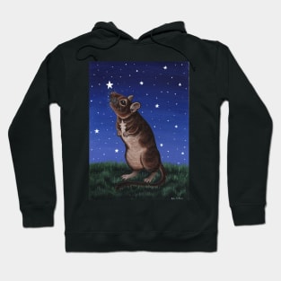 Degu Star Gazing Hoodie